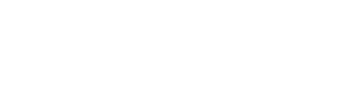 Iron Chef America